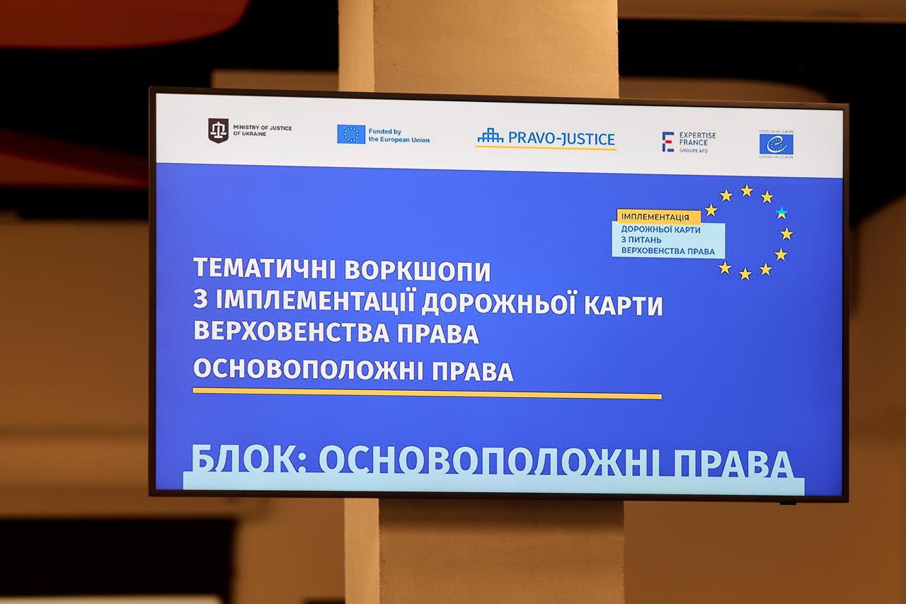 Відбулися тематичні воркшопи з імплементації Дорожньої карти з питань верховенства права за напрямом "Основоположні права"
